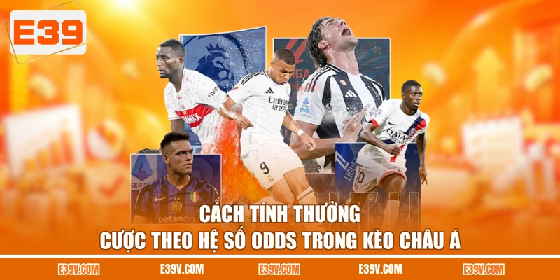 Cách tính thưởng cược theo hệ số Odds trong kèo châu Á