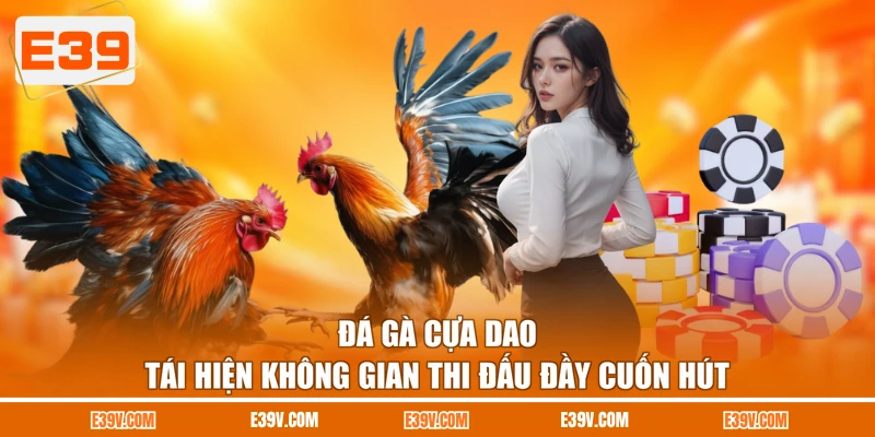 Đá Gà Cựa Dao - Tái Hiện Không Gian Thi Đấu Đầy Cuốn Hút