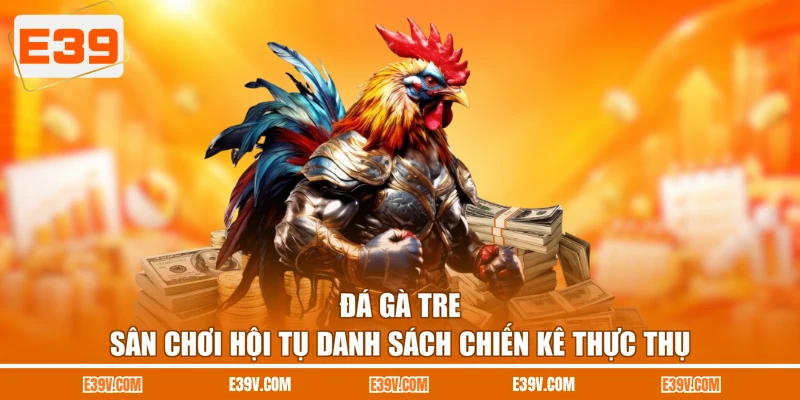 Đá Gà Tre - Sân Chơi Hội Tụ Danh Sách Chiến Kê Thực Thụ