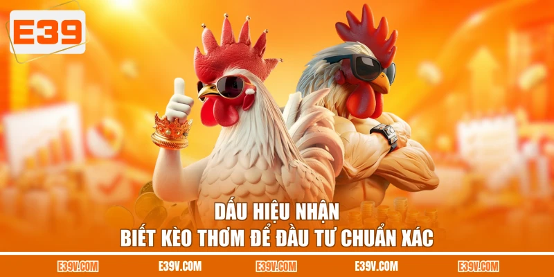 Dấu hiệu nhận biết kèo thơm để đầu tư chuẩn xác