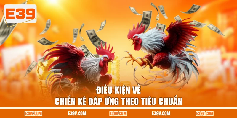 Điều kiện về chiến kê đáp ứng theo tiêu chuẩn