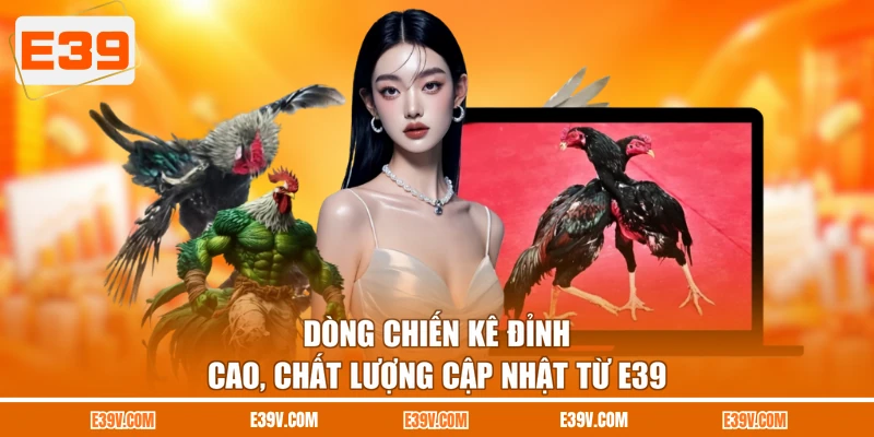 Dòng chiến kê đỉnh cao, chất lượng cập nhật từ E39