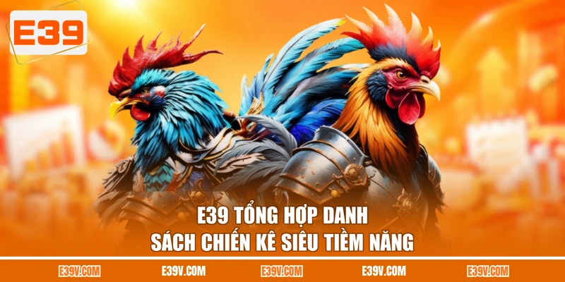 E39 tổng hợp danh sách chiến kê siêu tiềm năng