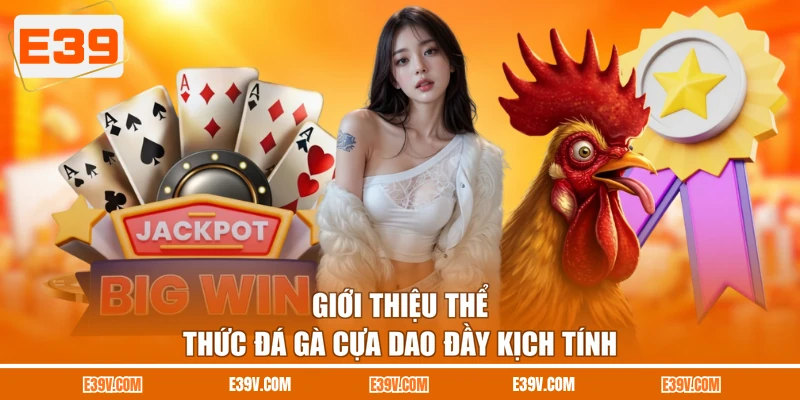 Giới thiệu thể thức đá gà cựa dao đầy kịch tính